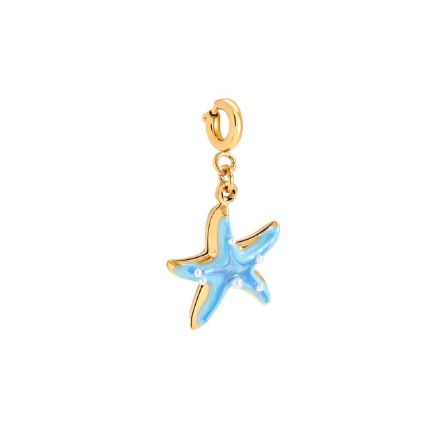 Pendente Estrela-do-Mar Azul e Dourado com Fecho